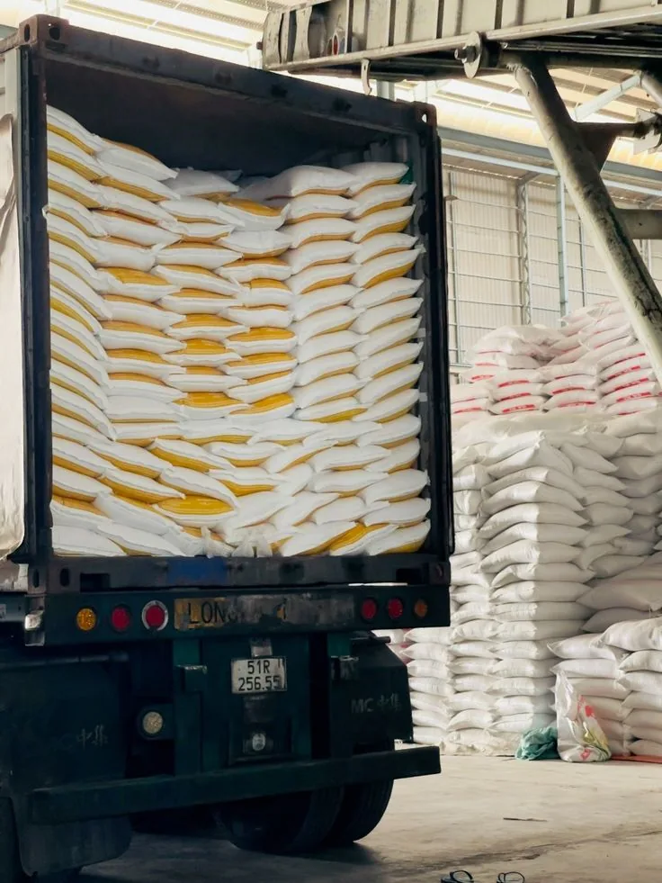 Chargement de sacs de riz en gros dans un conteneur pour l'export vers l'Afrique