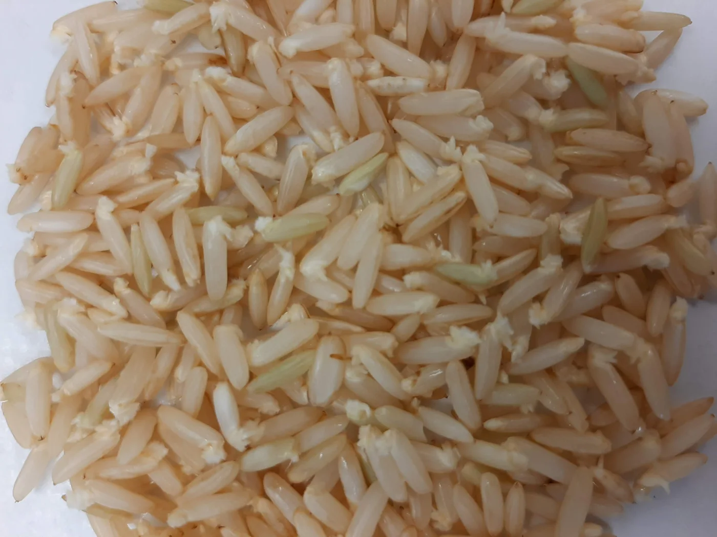 riz-basmati-complet