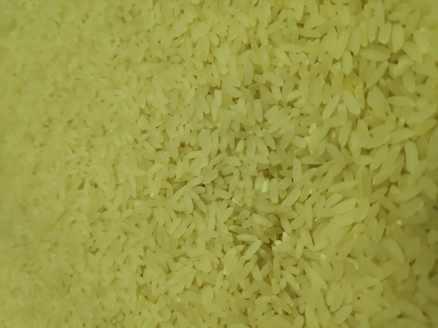 riz-long-grain-etuve