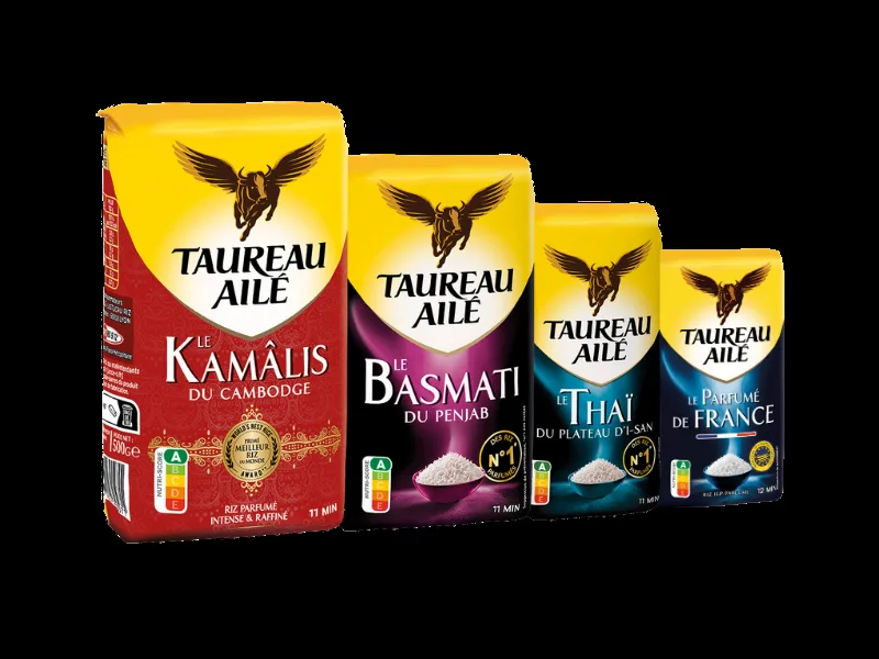 taureau-aile