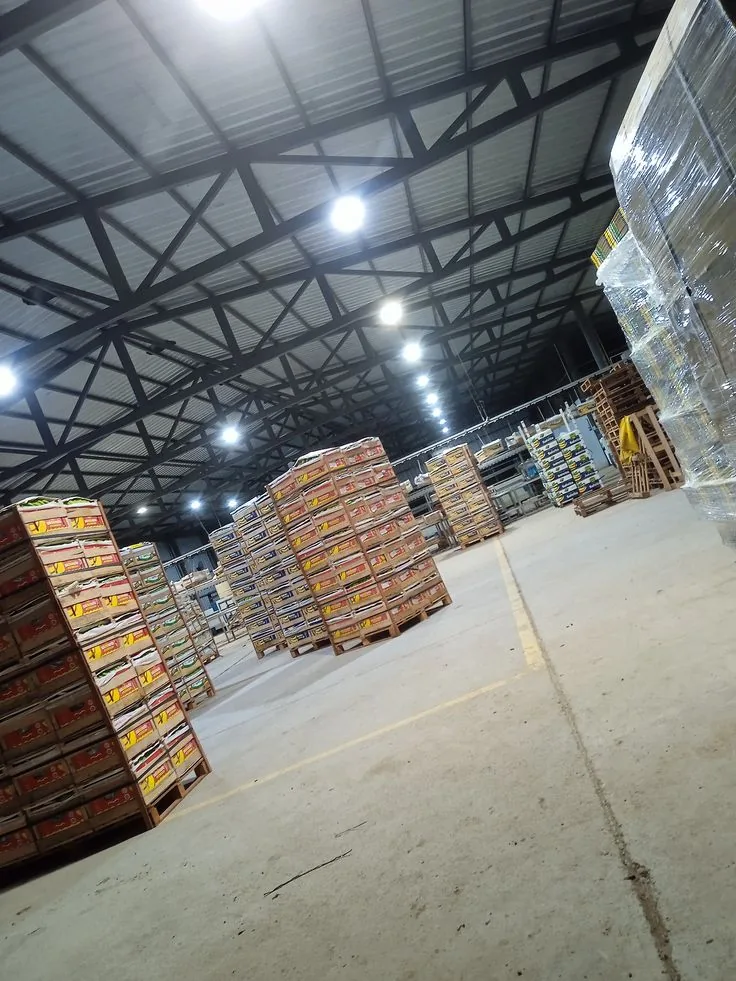 Lait Nido en Gros : Prix Grossiste à Abidjan, Dakar, Douala et Bamako